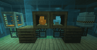 Extracting Fluids and Chemicals from Chickens!