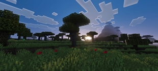 Screenshot 20