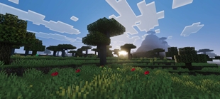 Screenshot 21