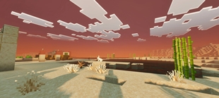 Screenshot 22