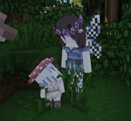 Dark Forest Fairy Villager and Baby Mushroom