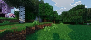 Screenshot 25