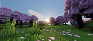 Screenshot 26