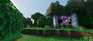 Screenshot 27