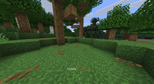 (Player Name) is dying