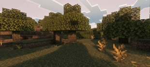 Screenshot 61