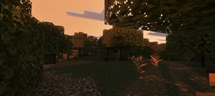 Screenshot 62