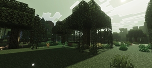 Screenshot 43