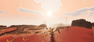 Screenshot 21
