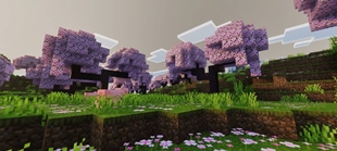 Screenshot 26