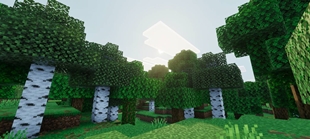 Screenshot 29