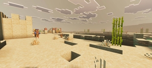Screenshot 34