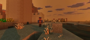 Screenshot 37