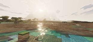 Screenshot 38