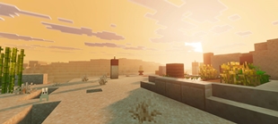 Screenshot 41