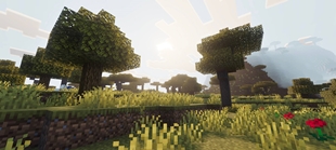 Screenshot 49
