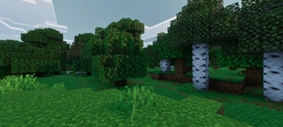 Screenshot 53