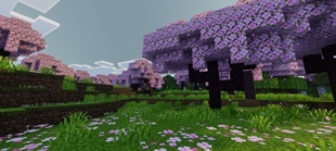 Screenshot 54