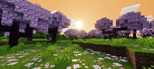 Screenshot 56