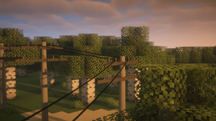 Utility Poles
