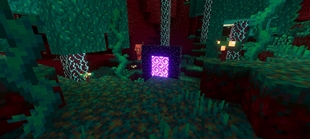 Screenshot 25