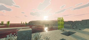 Screenshot 41