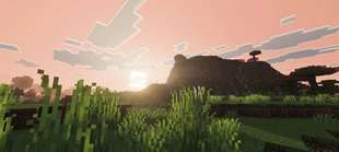Screenshot 43