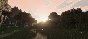 Screenshot 49