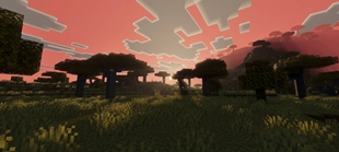 Screenshot 50