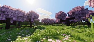 Screenshot 57