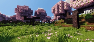 Screenshot 61
