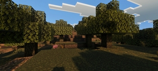 Screenshot 62