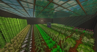 rleez12's Greenhouse by StarLeader44