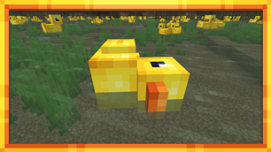 Some ducks appear on their side!