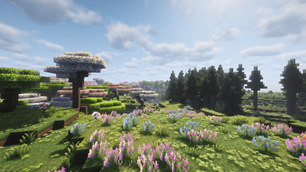 nice place to build a house!