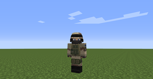 French armor, circa 2010s