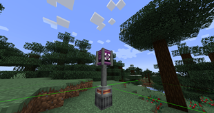 Debug
