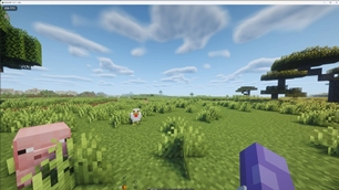 250 FPS with shader "Complementary Undbound"