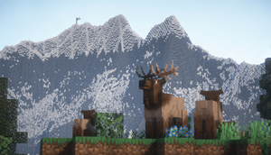 elk in the forest