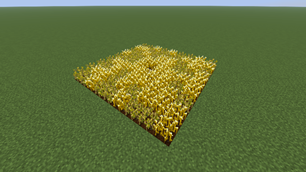 cropsquare.png.png