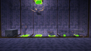 Showcase