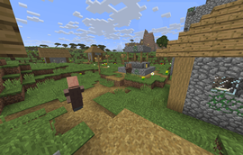 Village