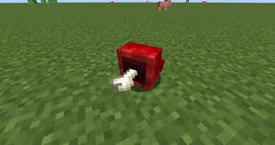 Corpse of SCP-5167