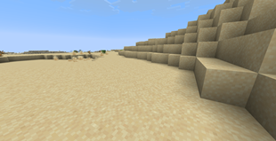 In the Desert
