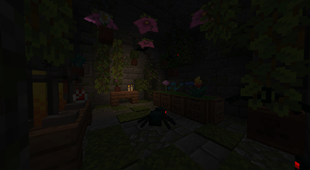 A Witch's Laboratory