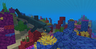 Shark