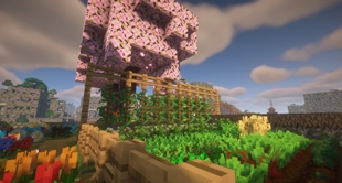Farm