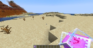 Under 1.21.4 Version