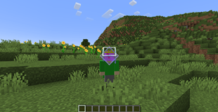 End Crystal on Head