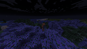 Elytra And Chestplate.png